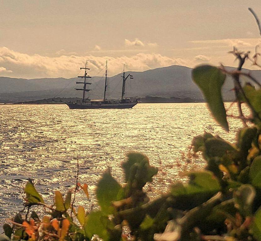 Il Fenicottero Rosa Villa Olbia Eksteriør billede